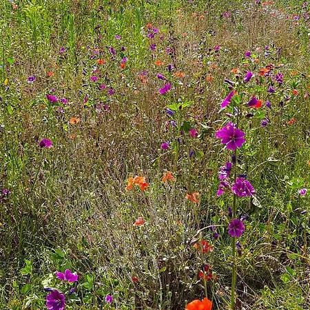 Linje Gemeente Leudal