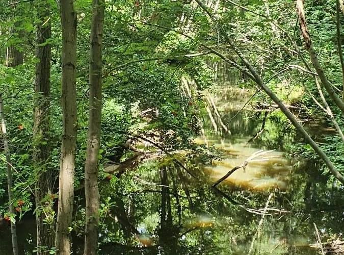 Linje Gemeente Leudal Ell