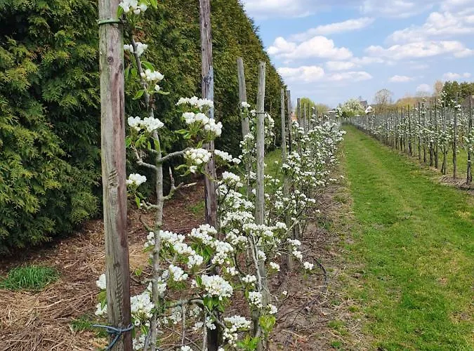 فندق مبيت وإفطار Linje Gemeente Leudal