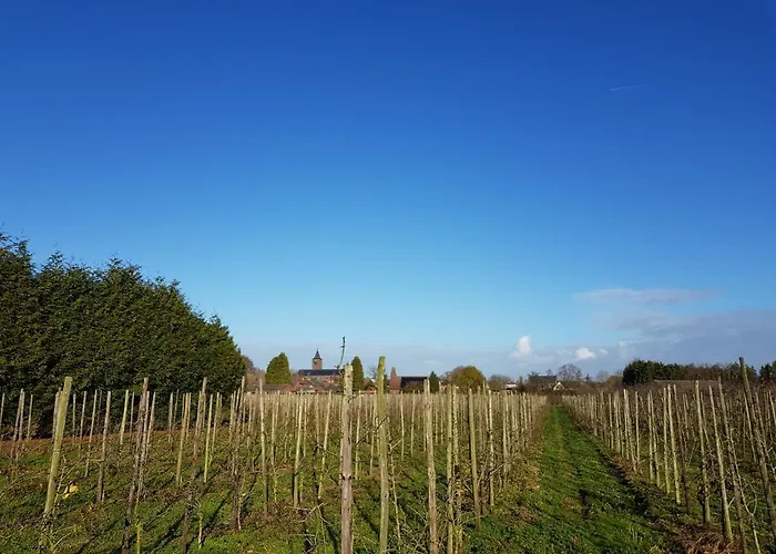 فندق مبيت وإفطار Linje Gemeente Leudal