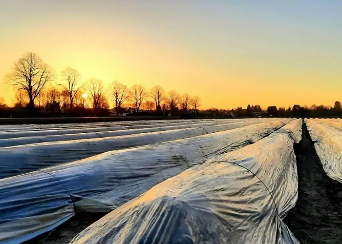 Linje Gemeente Leudal فندق مبيت وإفطار 3*