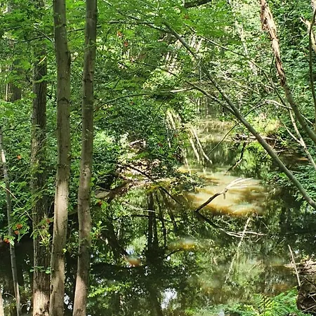 Linje Gemeente Leudal Ell