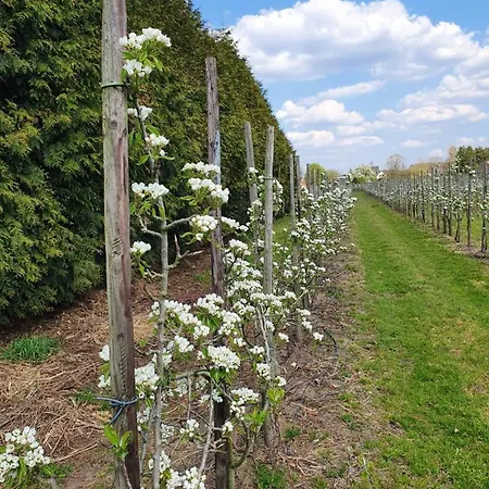 Couette-café Linje Gemeente Leudal