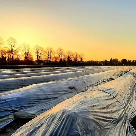 Linje Gemeente Leudal Couette-café 3*